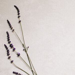 h4-image3